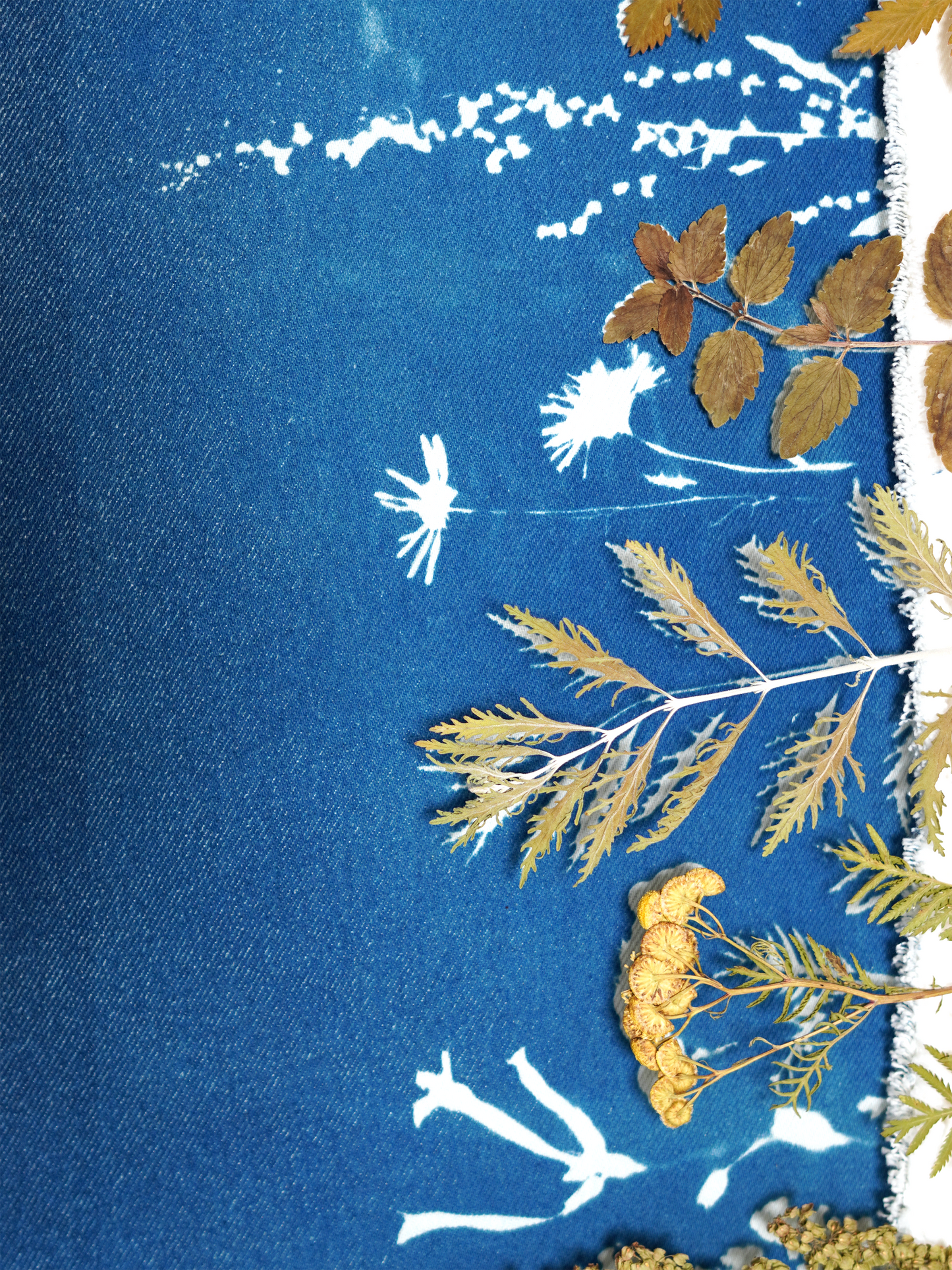 Białe jeansy z wysokim stanem cyjanotypia surowe wykończenie S